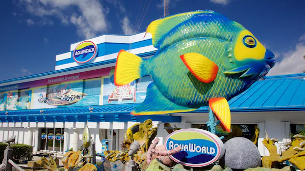 Aquaworld marina and water activities near Secrets The Vine Cancun with boats and lagoon adventures